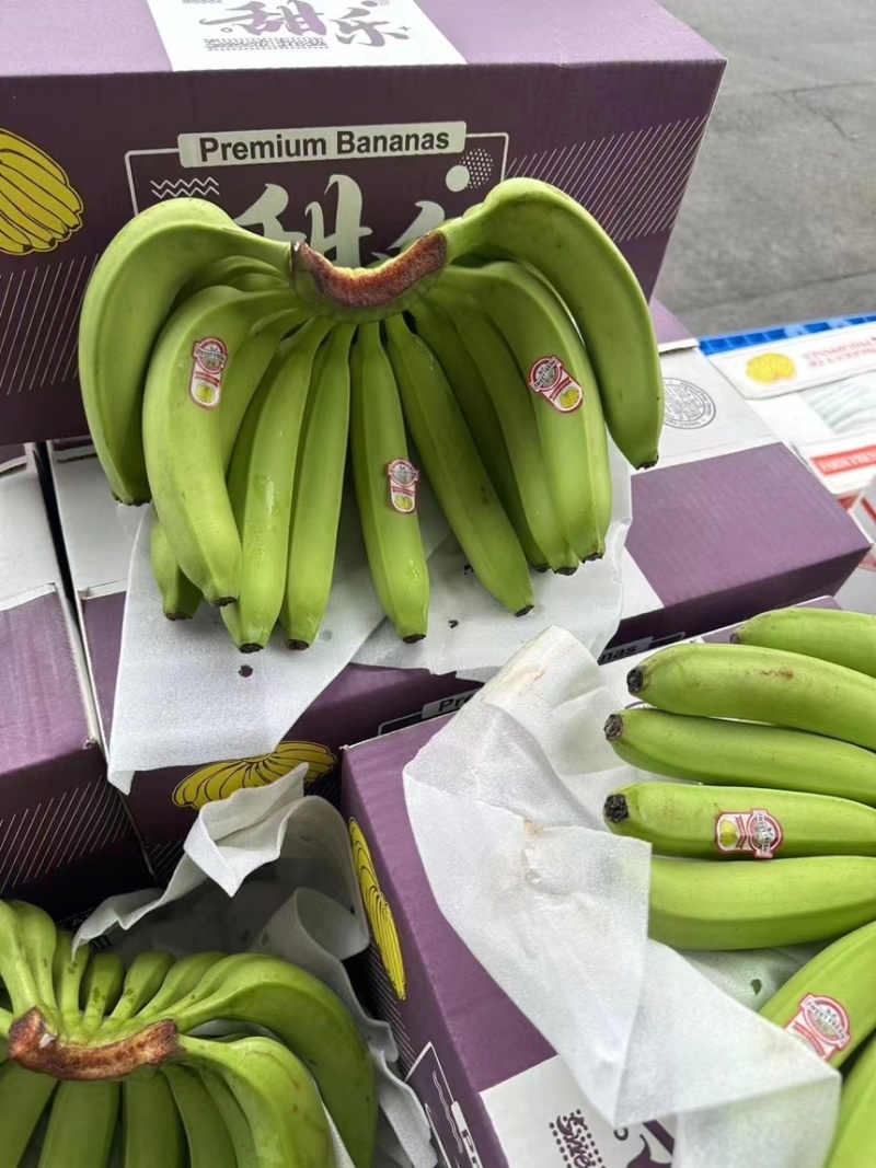 精品二级蕉一级焦，保质保量，全国可发，今日活动