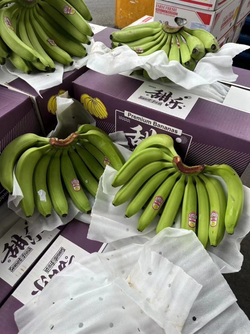 精品二级蕉一级焦，保质保量，全国可发，今日活动