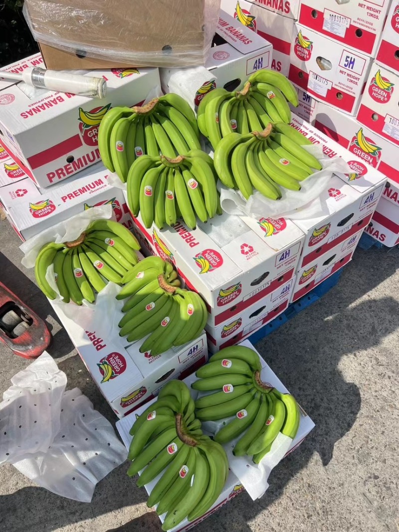 精品二级蕉一级焦，保质保量，全国可发，今日活动