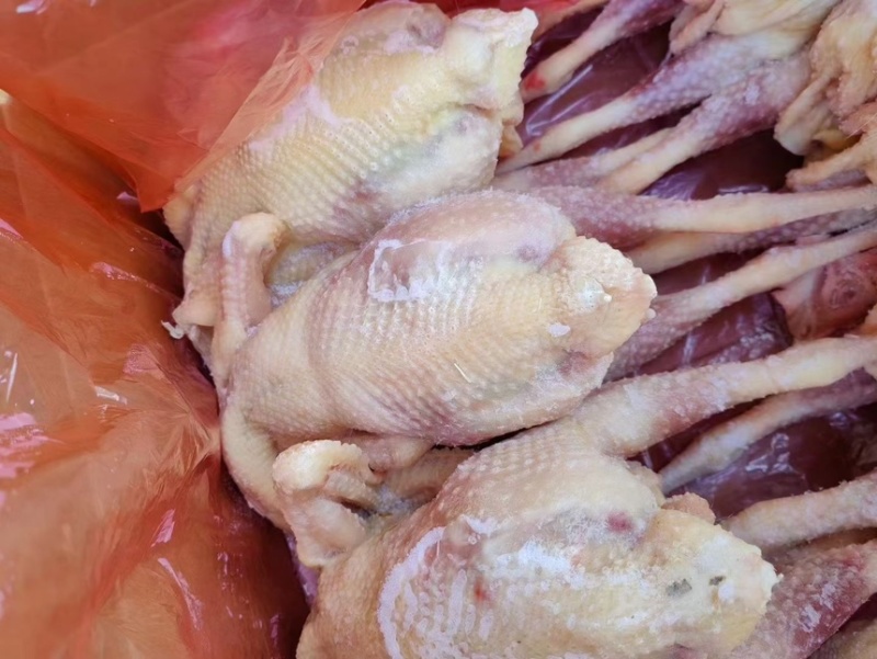 黄油老母鸡