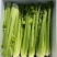 【芹菜常年供应】精品西芹净菜毛菜产地直发常年有货