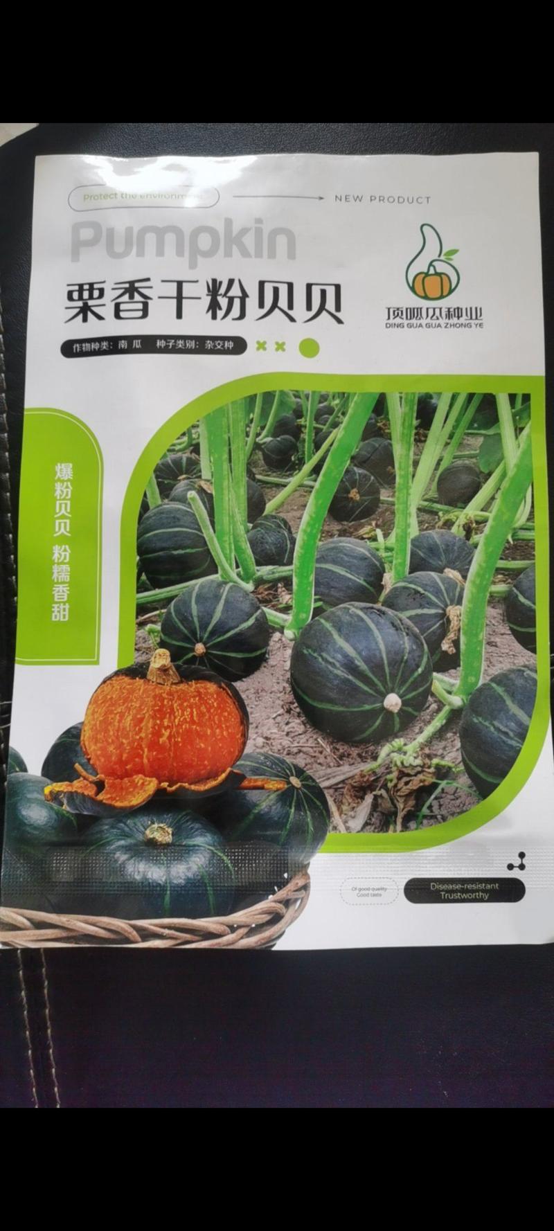 蔬菜日本贝贝南瓜种子板栗南瓜种子订单农业适合全国种植包邮