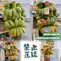 【小红书同款】禁止蕉绿整串小米蕉苹果蕉一件多规格