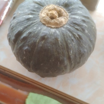 贝贝瓜，