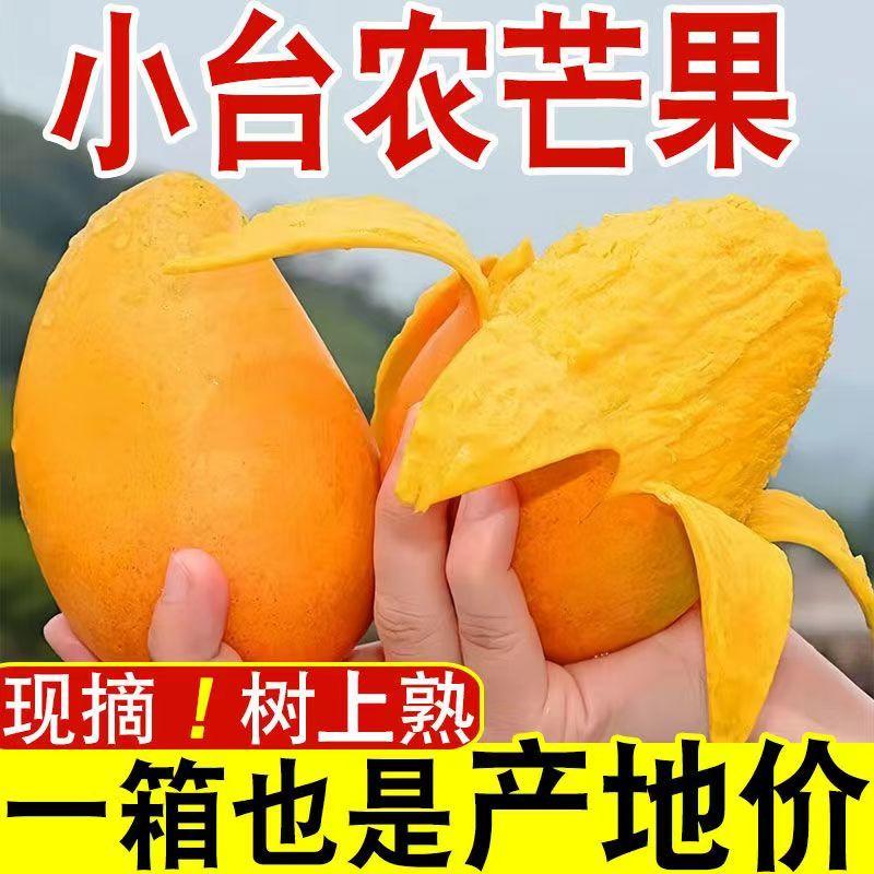 【应季水果】小台农芒果新鲜现摘树上熟超甜正宗海南金煌贵妃