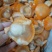 半壳黄金扇贝黄金贝粉丝贝