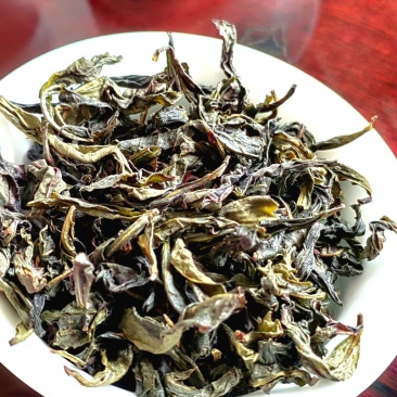 高山茶潮汕浓香型惠来土山茶新茶云雾高山茶山上茶叶大坪香茶