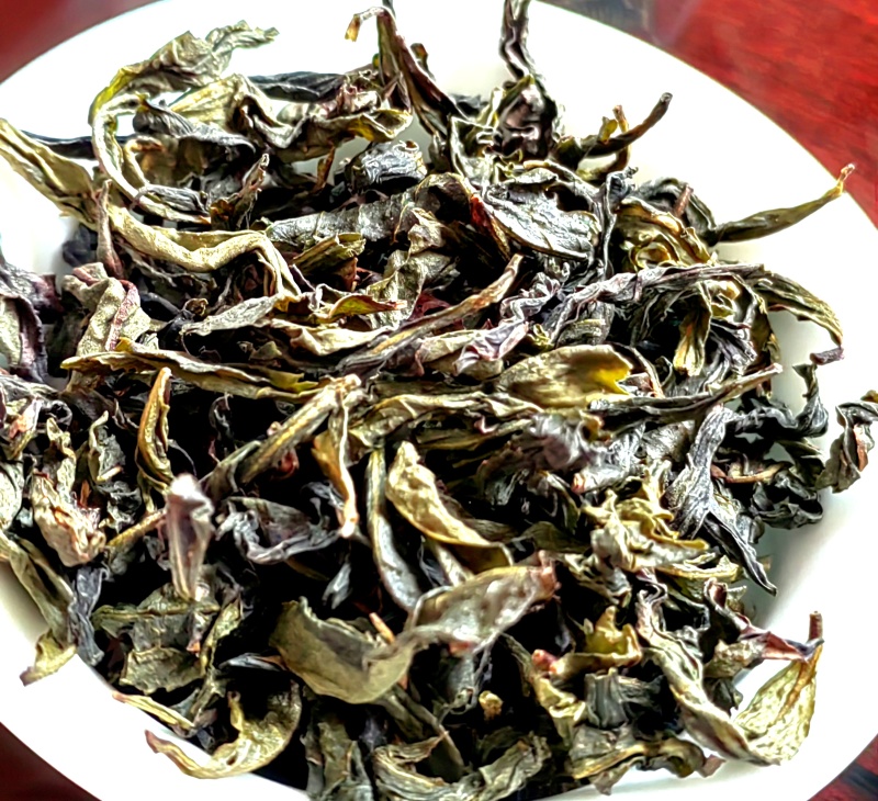 高山茶潮汕浓香型惠来土山茶新茶云雾高山茶山上茶叶大坪香茶