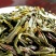 高山茶潮汕浓香型惠来土山茶新茶云雾高山茶山上茶叶大坪香茶