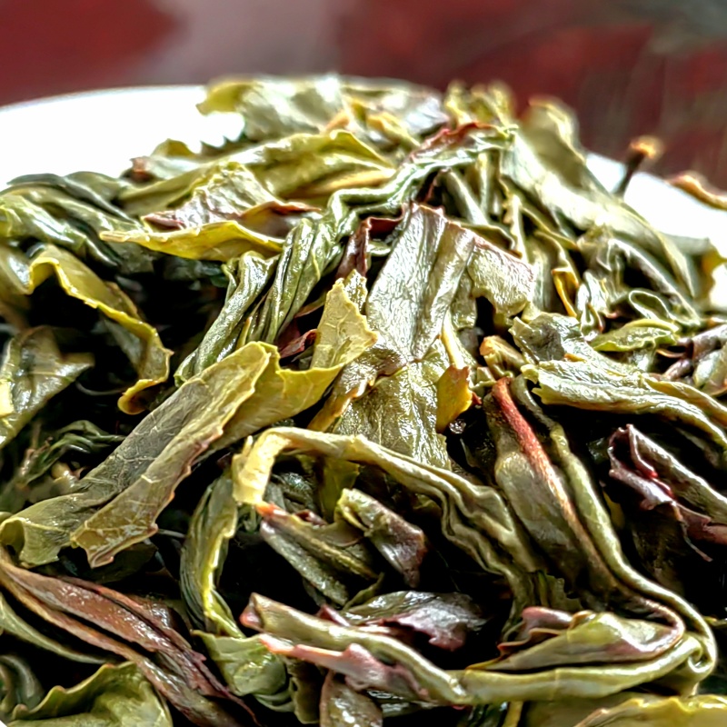 高山茶潮汕浓香型惠来土山茶新茶云雾高山茶山上茶叶大坪香茶