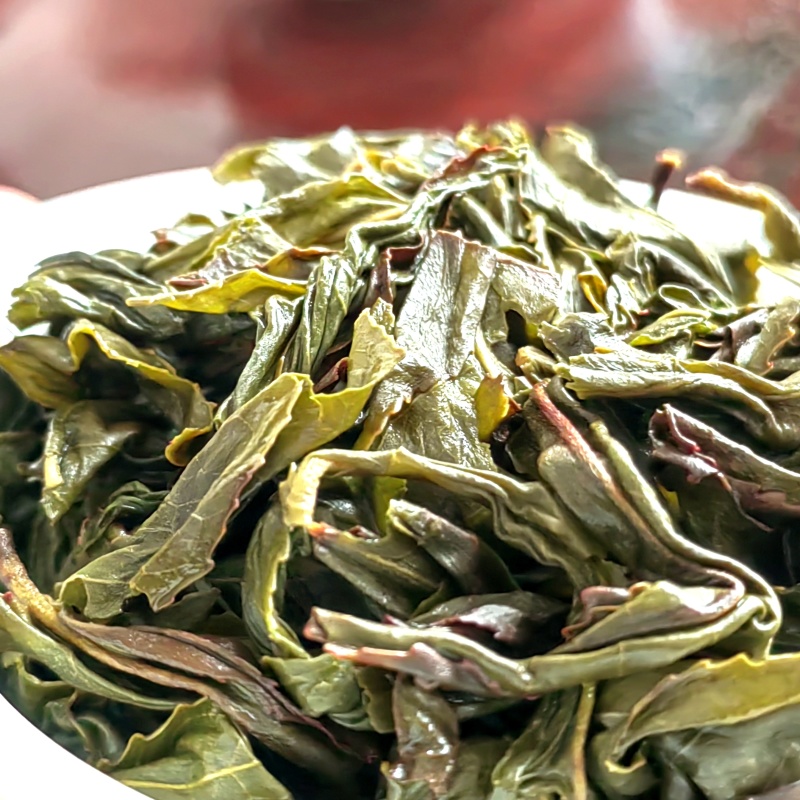 高山茶潮汕浓香型惠来土山茶新茶云雾高山茶山上茶叶大坪香茶