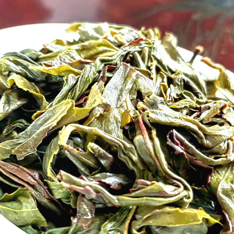 高山茶潮汕浓香型惠来土山茶新茶云雾高山茶山上茶叶大坪香茶