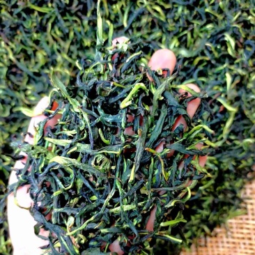 抽湿茶鸭屎香单丛茶潮州凤凰单丛茶抽湿单丛茶生茶绿茶单丛茶
