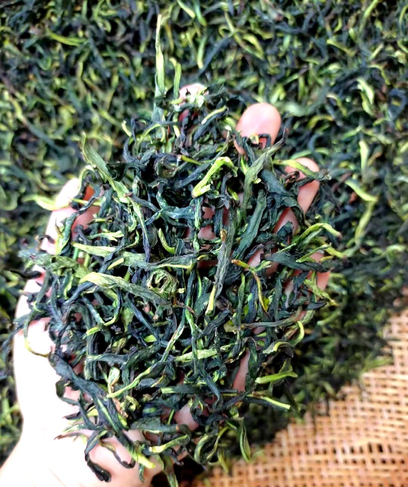抽湿茶鸭屎香单丛茶潮州凤凰单丛茶抽湿单丛茶生茶绿茶单丛茶