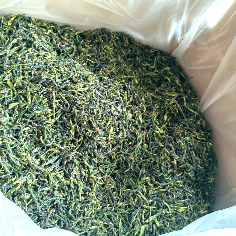 抽湿茶鸭屎香单丛茶潮州凤凰单丛茶抽湿单丛茶生茶绿茶单丛茶