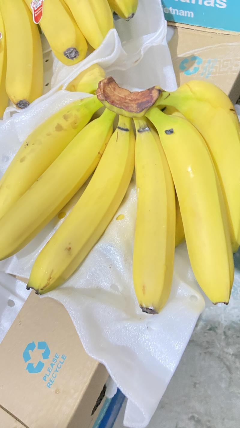 【精品】香蕉，巴西蕉大量供应，货源充足质量保证可视频验货