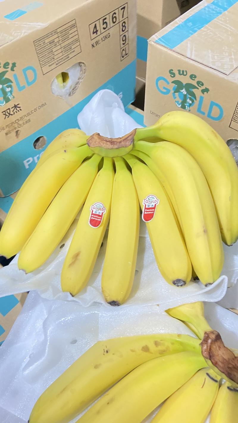 【精品】香蕉，巴西蕉大量供应，货源充足质量保证可视频验货