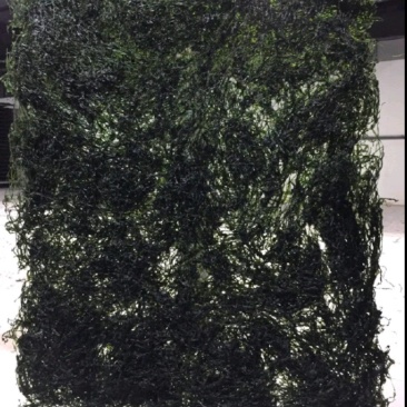 福建霞浦烘干海带丝，新货，干度好，质量非常好！