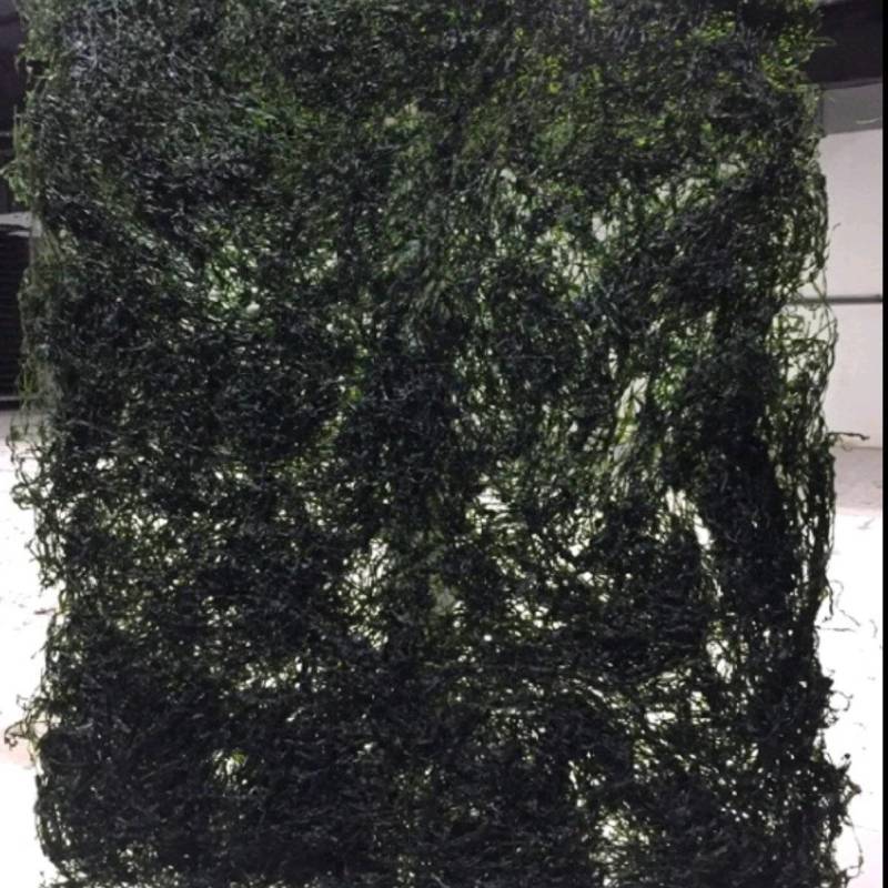 福建霞浦烘干海带丝，新货，干度好，质量非常好！