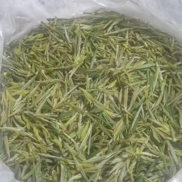 绿茶，毛峰