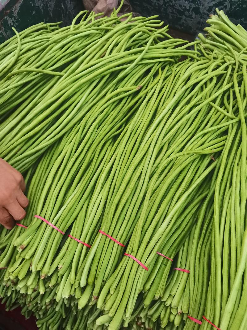 青条豆角白条豆角豇豆安徽产区直发货源充足稳定