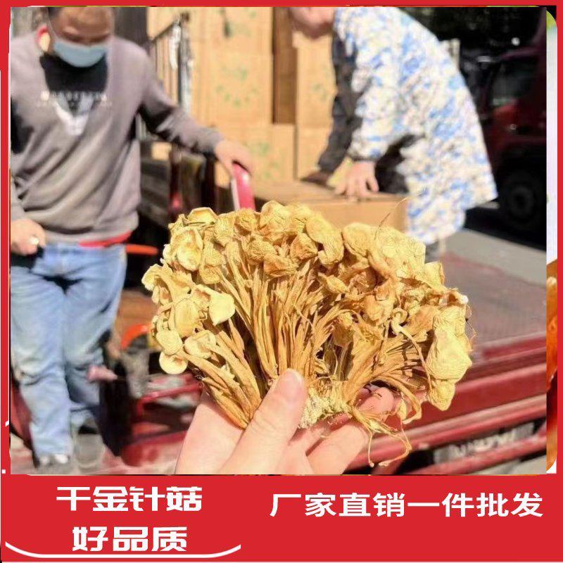 金针菇干货白大袋金针干金针香菇凉拌