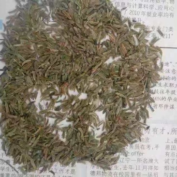 纯新材胡籽出售