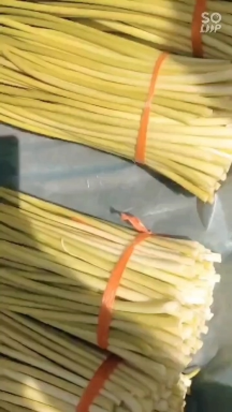 柘城蒜苔