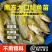 正宗南方大口鲶鱼苗南方鲶淡水养殖食用肉食鲶鱼苗土鲶鱼二须