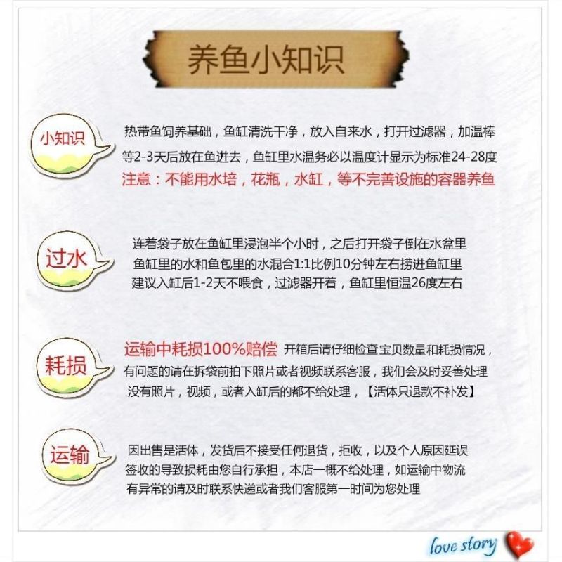 正宗南方大口鲶鱼苗南方鲶淡水养殖食用肉食鲶鱼苗土鲶鱼二须