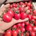 【好货推荐】山东精品圣女果小番茄大量上市中，全国供货欢迎来电