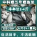 鲫鱼苗黄金工程中科鲫五号大阪鲫银鲫养殖淡水可过冬
