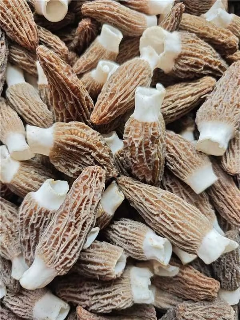 【推荐】陕西精品羊肚菌干货，品质好，规格齐全欢迎选购