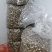 【推荐】陕西精品羊肚菌干货，品质好，规格齐全欢迎选购