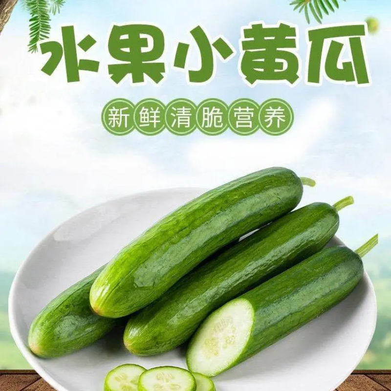 山东黄瓜水果小黄瓜、对接电商平台、社区团购、网红主播带货