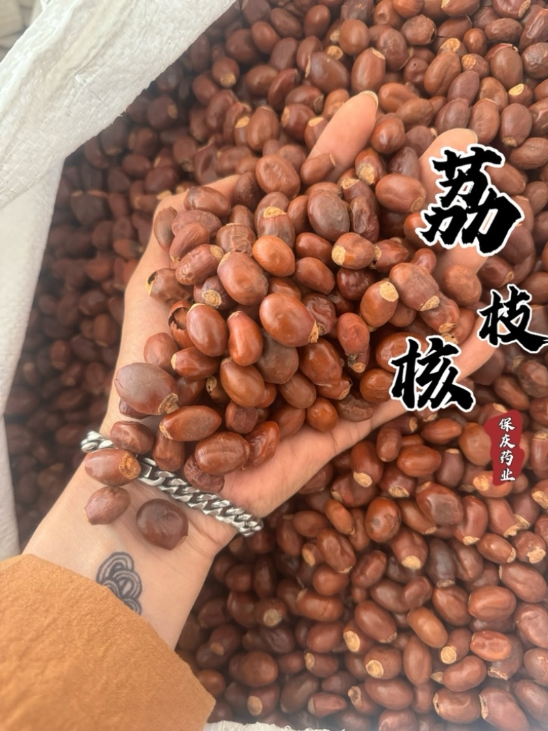 荔枝核干净货无杂质无硫实拍发货如图保庆药业