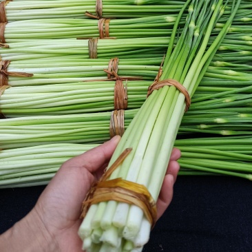 白帽蒜苔农家种植