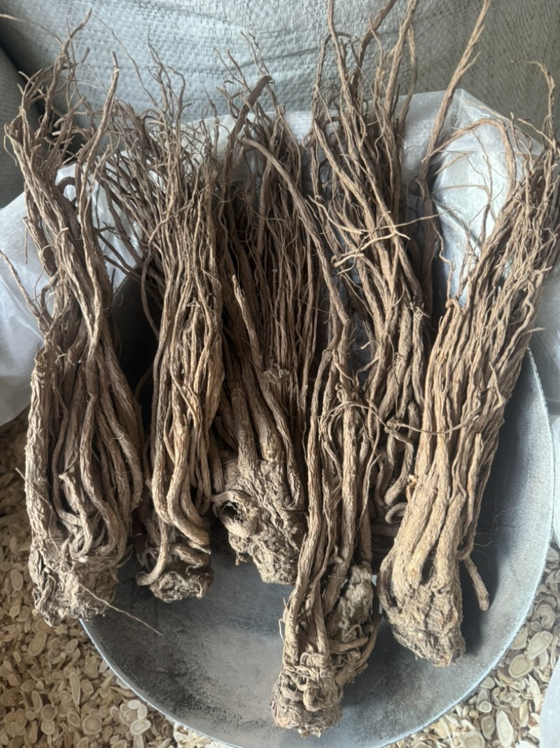 当归个无硫岷县当归正品实拍现货保庆药业