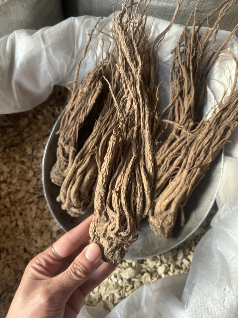 当归个无硫岷县当归正品实拍现货保庆药业