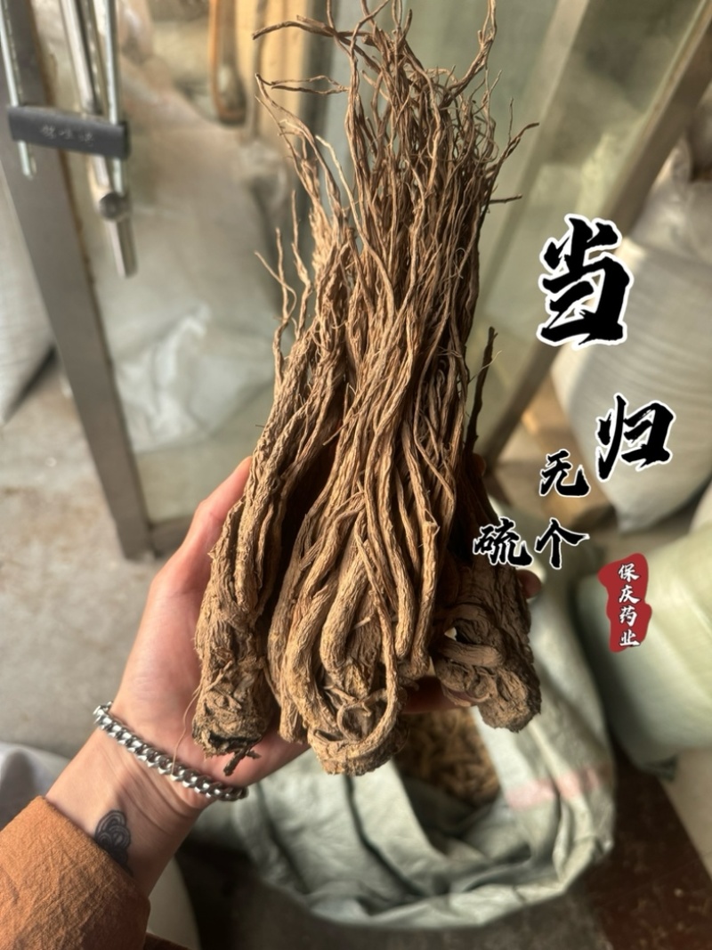 当归个无硫岷县当归正品实拍现货保庆药业