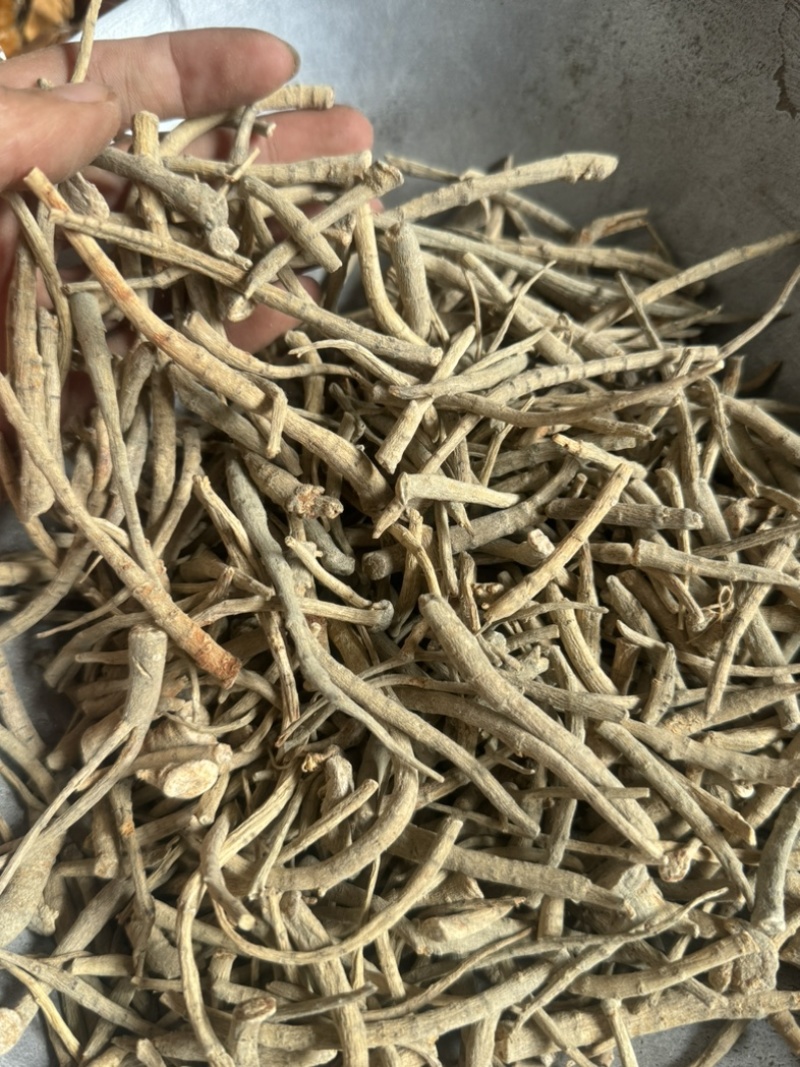 三七根三七保庆药业批发三七根实拍现货文山三七