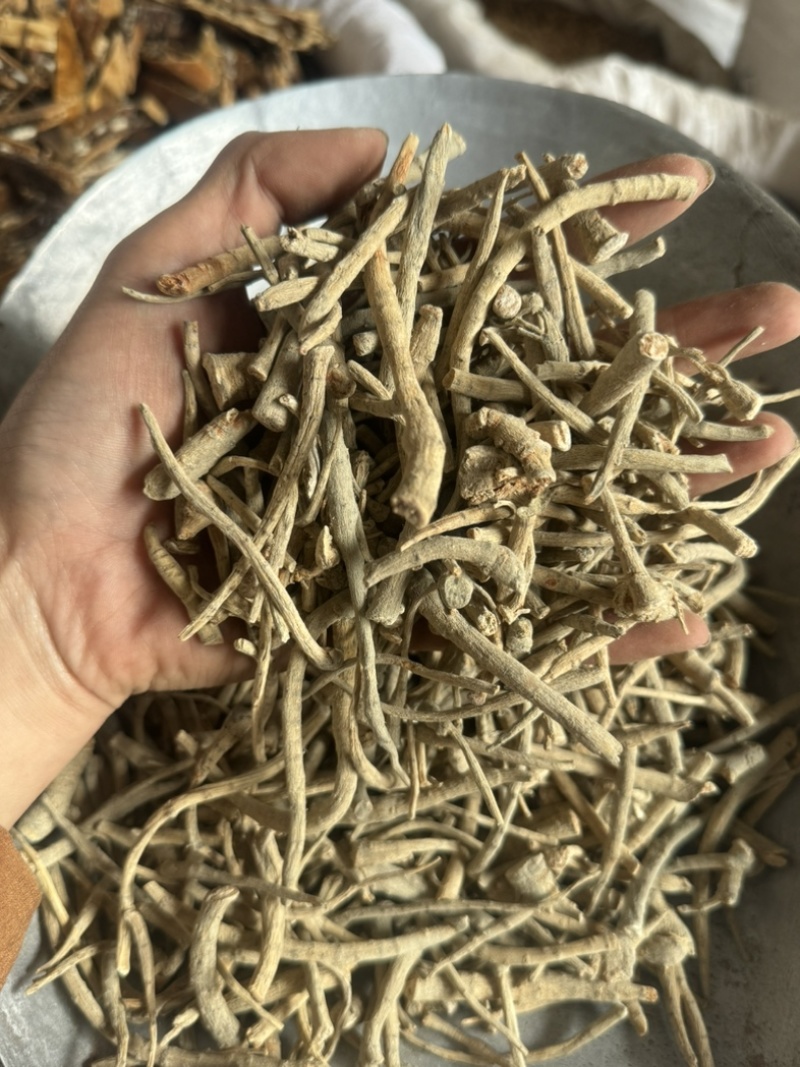 三七根三七保庆药业批发三七根实拍现货文山三七