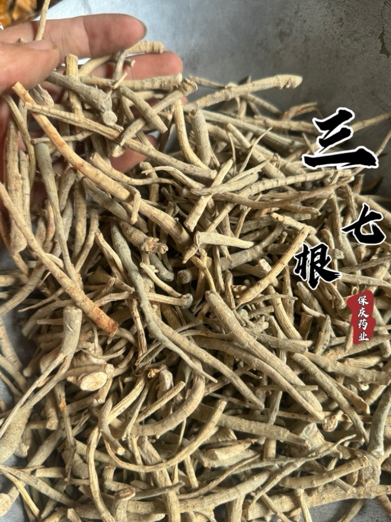 三七根三七保庆药业批发三七根实拍现货文山三七