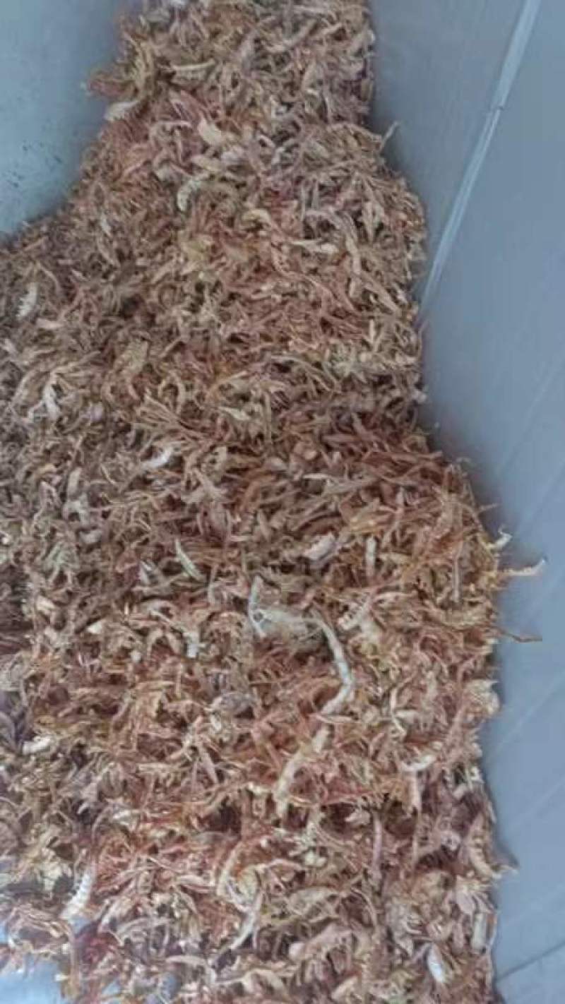 无硫玉兰小片，毛竹小片