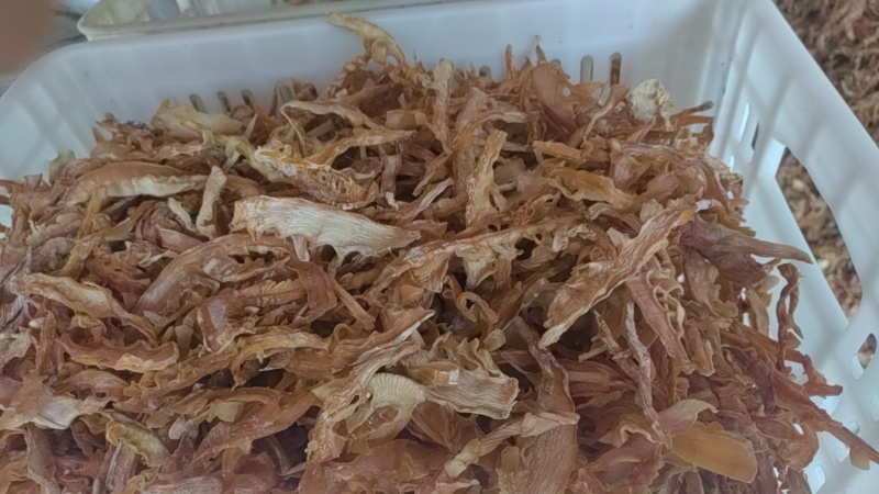 无硫玉兰小片，毛竹小片