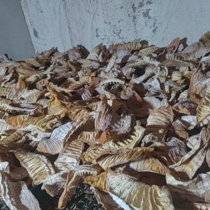 无硫玉兰笋中片