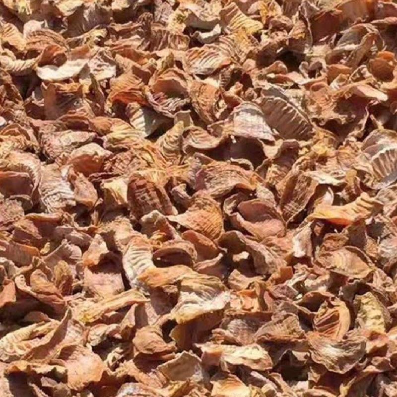 无硫玉兰笋精品小片