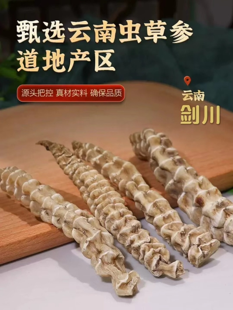 云南地参(虫草参）一斤起批包邮品质好价格优惠