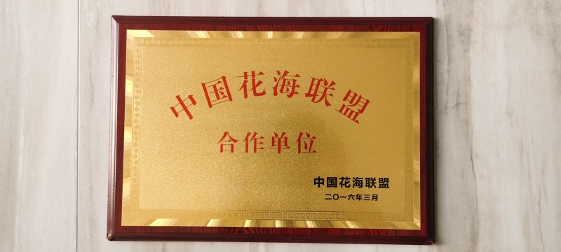 德国鸢尾，黄花，紫花，红花等色，基地现货