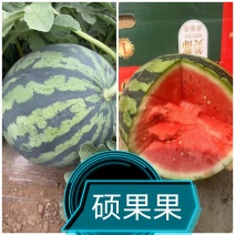 云南甜王/无籽美都西瓜，麒麟8424西瓜，批发，档口电商